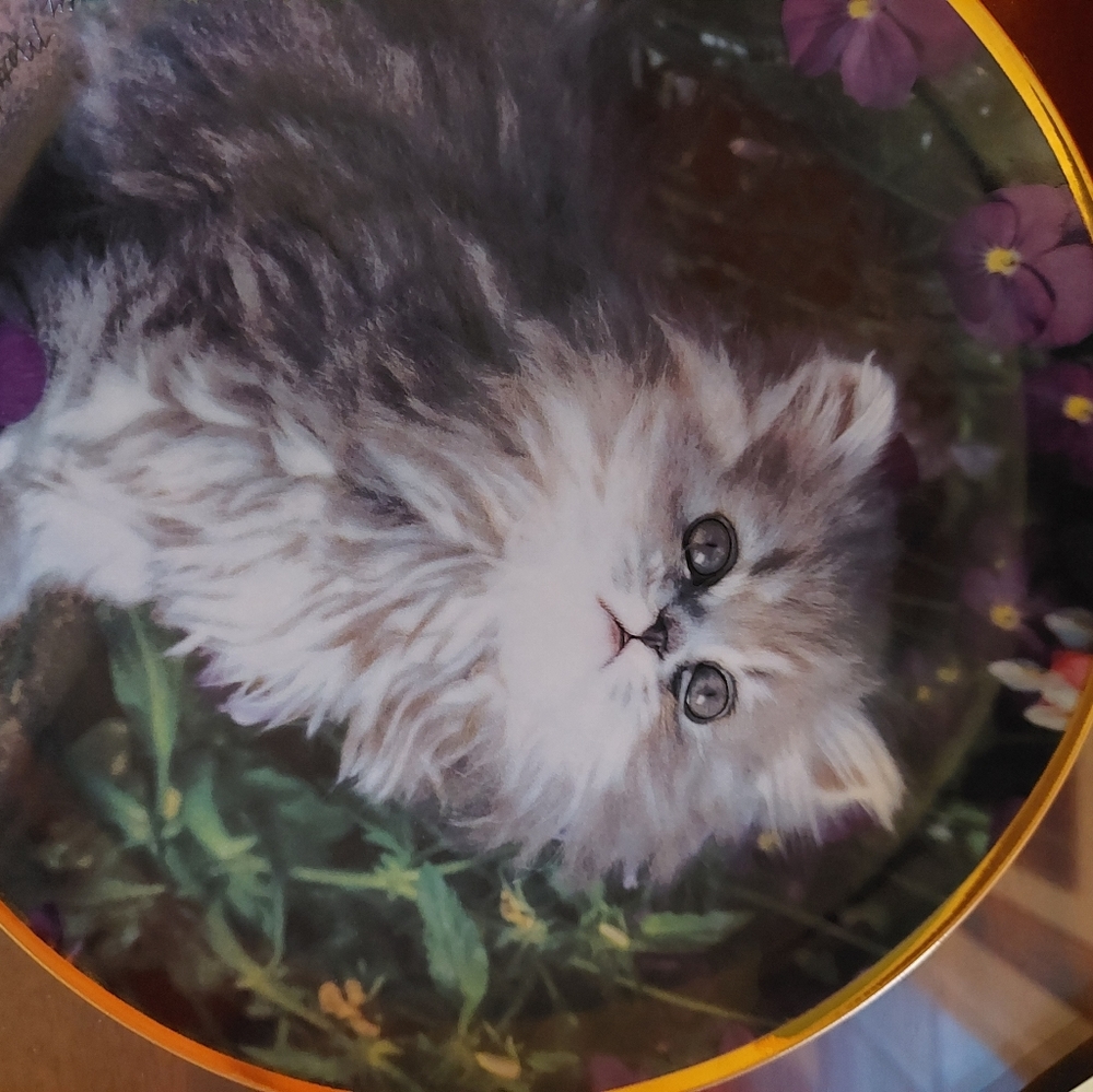 Decorative.cat plate